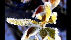 И. АЛЛЕГРОВА & М. ШУФУТИНСКИЙ - КОЛЕЯ - Videoclip.bg