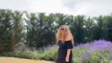 INDIRA RADIC - NISAM SUMNJALA ( OFFICIAL VIDEO 2020 ) - Videoclip.bg