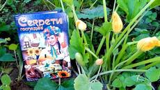КОНСЕРВАЦІЯ – ПРОВІРЕНІ – ДУЖЕ СМАЧНІ – ПРОСТІ – РЕЦЕПТИ – З МОГО ЗАПИСНИКА - Videoclip.bg