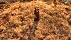 Ζωή Λιαντράκη - Έχασα τις λέξεις - забравих думите - Videoclip.bg