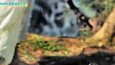 Βασίλης Καρράς - Χάδι από μαχαίρι - ласка от нож - Videoclip.bg