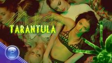 MALKATA - TARANTULA / Малката - Тарантула, 2020 - Videoclip.bg