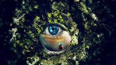 Камен Тодоров – „Кръговрат“ (поезия) - Videoclip.bg