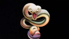 Whitesnake – „All or Nothing“ (творчески превод) - Videoclip.bg