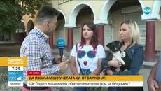 Да изхвърлиш кучетата си от балкона! - Ще бъдат ли изселени обитателите на дом за бездомни? - Videoclip.bg