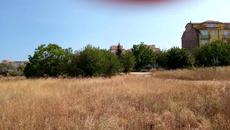 Моята къщичка в Равда и съседите ми 2020 г. - Videoclip.bg