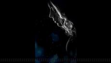 Loving Caliber - She Will Never Know - Videoclip.bg