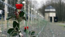 ЕВГЕНИЙ ГРИГОРЬЕВ( ЖЕКА)  -  ЧЕРНЫЙ ВОРОН! - Videoclip.bg