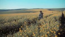 Gabriel Light - Summer Love (Official Music Video) 2020 - Videoclip.bg