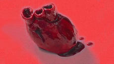 Alaska – „Show Some Emotion“ (творчески превод и интерпретация) - Videoclip.bg