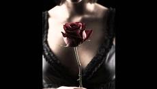 Amir - Il est temps quon maime ПРЕВОД - Videoclip.bg