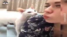 ВЫ ЧЕРЕЗ ЧУР СЕРЬЕЗНЫЕ, НО ЭТО НЕ НА ДОЛГО...... - Videoclip.bg