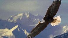 Камен Тодоров – „И света да падне“ (поезия) - Videoclip.bg