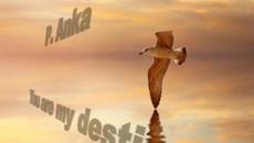 Paul Anka - You Are My Destiny Превод - Videoclip.bg