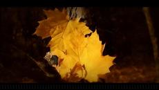 Maria Daines - September Days - Videoclip.bg