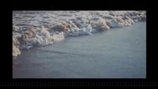 Pink Floyd - Wish You Were Here (превод) - Videoclip.bg