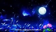 Ние сме еднакви ~ My Ty She ♛ Moon Night with Butterfly - Videoclip.bg