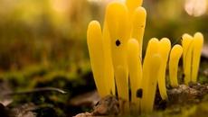 Deep Purple - April - Videoclip.bg