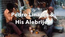 115 години от рождението на Педро Линарес Лопес с Гугъл Pedro Linares - His Alebrijes алебрихес - Videoclip.bg