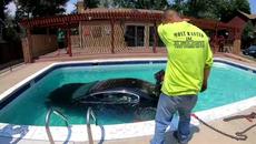 Беглец от полицията падна с колата си в басейн!!!  Car Into Swimming Pool - Videoclip.bg