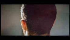 Krissy -  Шамари / 2021 / - Videoclip.bg