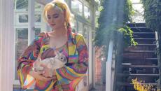 Митко Митков ☀️ Мое слънце 1973 - Videoclip.bg