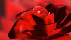 Thomas Bergersen - Dancing line (Танцуващи линии, piano) - Videoclip.bg