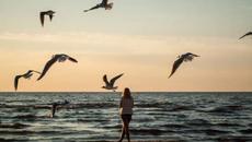 Лили Иванова  - Да вярвам ли - Videoclip.bg