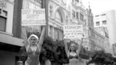 Stefania Ferrario В защита правата на животните Animal Rights Lingerie Protest - Videoclip.bg