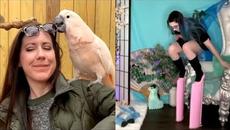 New Day New Fails - Funniest Fails Compilation 2021 - Videoclip.bg