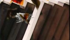 Заставка Филм по TV 7 (2005-2010) - Videoclip.bg