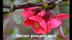 Честит рожден ден мила katy945 - Videoclip.bg