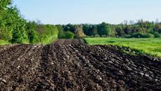 Щурците - Сила - Videoclip.bg