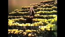 Put A Little Love In Your Heart Jackie DeShannon JAR ReMixed STEREO HiQ Hybrid JARichardsFilm - Videoclip.bg