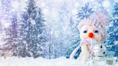 Мощь и прелесть настоящей зимы! Зимний Лес в Метель! Снежная Буря, Снегопад и Ледяной Воющий Ветер! - Videoclip.bg