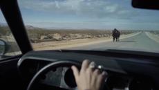 Ethan & The Reformation - Hollandia - Videoclip.bg