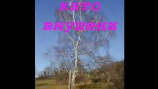 Антоан Антонов "Тъгата-меланхолия"  Poetry [The Sadness-melancholy] - Videoclip.bg