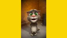 Честит ден на студента - Весел празник студенти с поздрав!!! Том Разказва Вица за Мечката,Заека и Вълка - Videoclip.bg