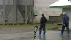 BC floods: Agriculture ministers vow to stand with province's farmers | FULL - Videoclip.bg