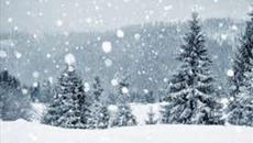 БЕЛИ ПЕПЕРУДИ (ДЕМО ЗАПИС) - Videoclip.bg