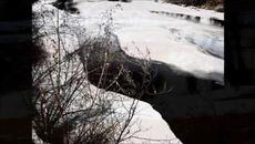 Ο ποταμός Τσένα στην Αλάσκα. - Videoclip.bg