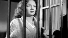 „Mi preferida“ – Chucho Martínez Gil - Videoclip.bg