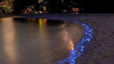 Indila - Derniere Danse (Albert Vishi Remix) - Videoclip.bg