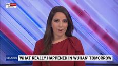 Fauci was ‘up to his neck’ funding coronavirus research in Wuhan - Videoclip.bg