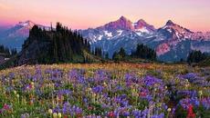 Първият сняг заваля днес 22 септември 2021 г. над Витоша - Времето днес! - Videoclip.bg