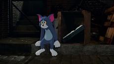 sample Tom and Jerry / Том и Джери (2021) BG Audio - Videoclip.bg