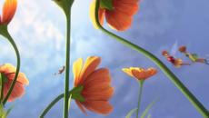 Песента на феята!!! - Videoclip.bg