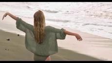 Peter Green & Splinter Group - Burglar - Videoclip.bg