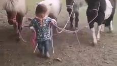 Малко момиченце стопанка ! - Videoclip.bg