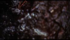 INVASION OF THE BODY SNATCHERS | Official Trailer | MGM Studios - Videoclip.bg